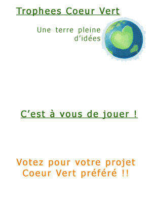 votez pour votre projet Coeur Vert prefere et aidez le � continuer son action